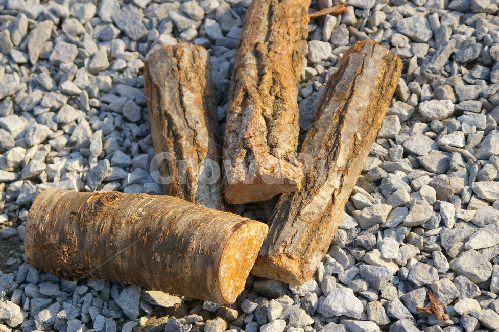 자갈,나무,장작,재목,야외,나무,trees,wood