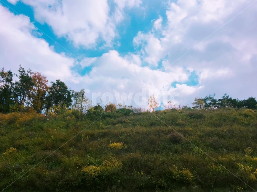 nature,자연,grassland,목초지,outdoors,옥외,field,구름