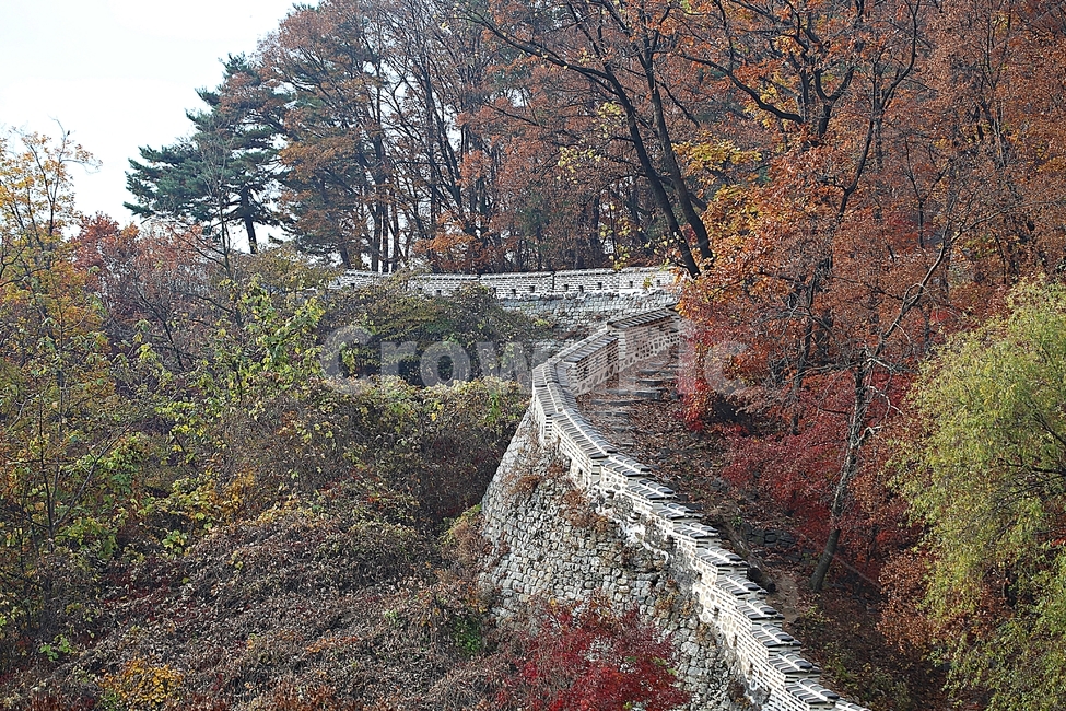 남한산성,성,성곽,단풍,낙엽,길,둘레길,숲,숲길,담,돌담,가을,자연,풍경,벽,울긋불긋,산성,식물,가을,계절,fall,autumn,season,한국전통,한국문화,korean traditional,korean culture,outdoors,옥외,nature,ground,바닥