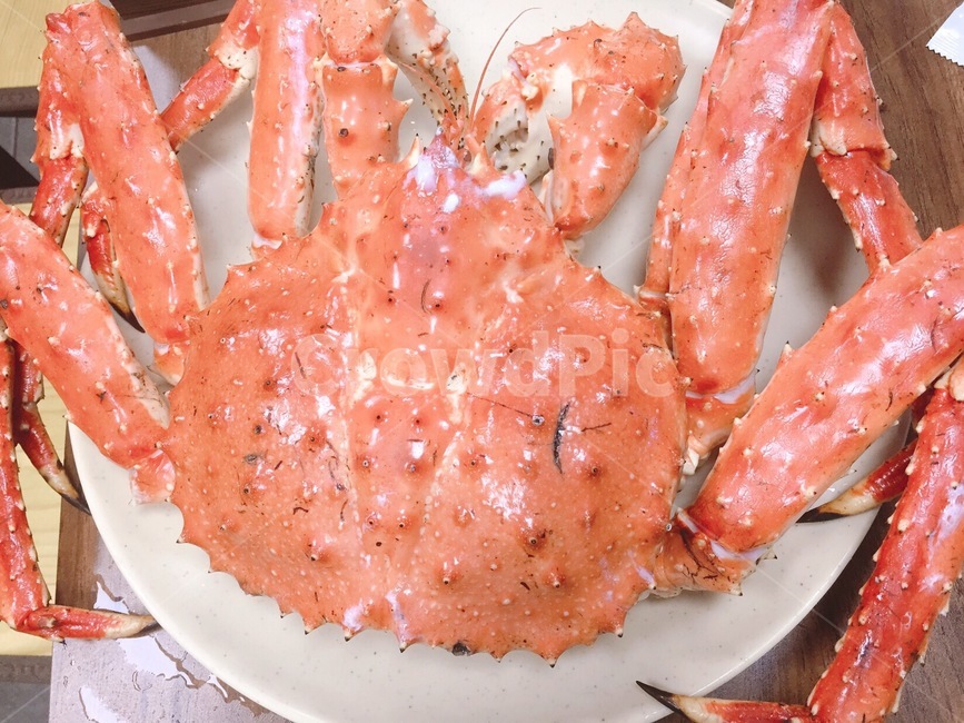 food,음식,crab,게,해물,seafood,kingcrab,왕게,음식,식재료,요리,food,cook,meal,dishes,food reserves,수산물,해산물,fishery products,seafood