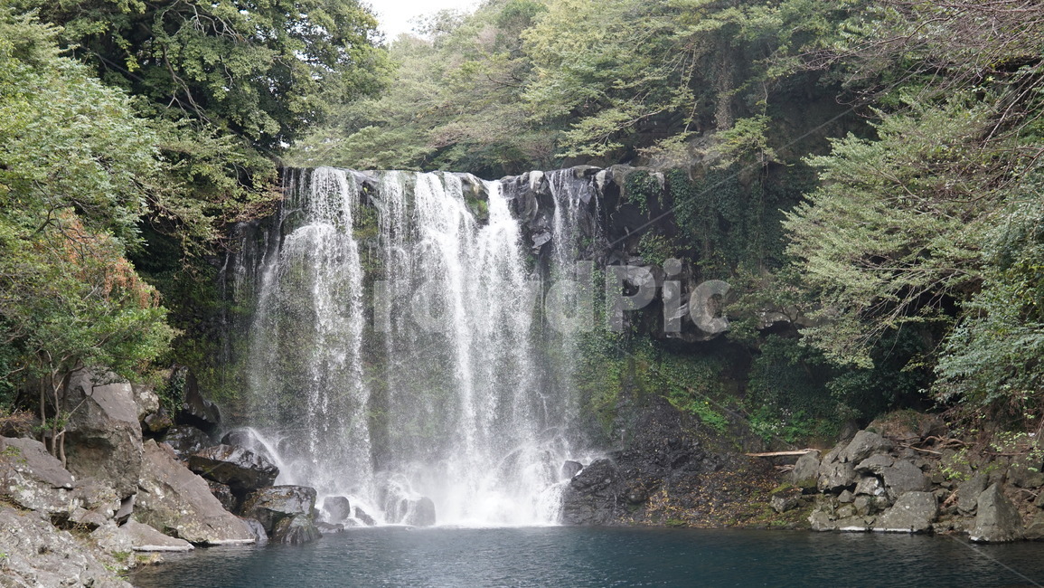 천제연폭포,제주도,폭포,강,자연,자연,풍경,nature,landscape