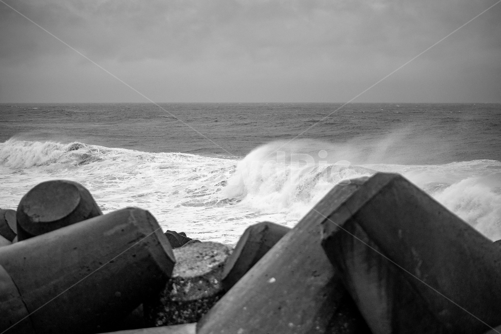 파도,태풍,흑백,바다,백파,흑백사진,높은파도,자연,풍경,nature,landscape,흑백,모노톤,monochrome,black and white,sea,ocean,대양,water,물,outdoors,옥외