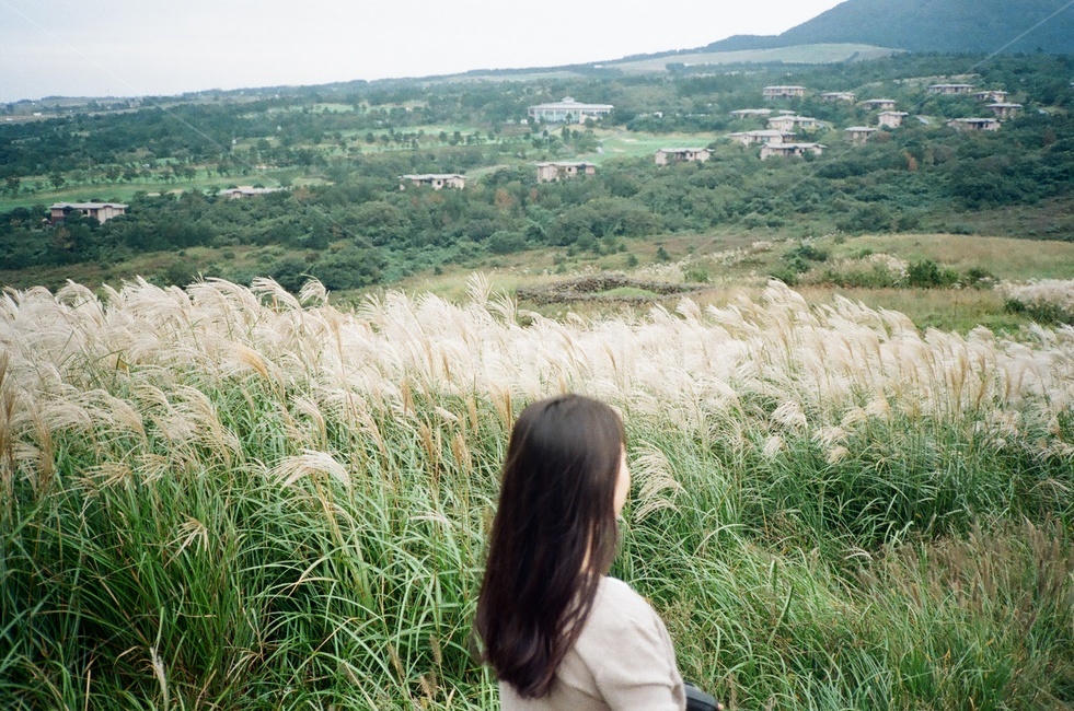 여자뒷모습,여자갈대,갈대밭여자,제주도여자,인물뒷모습,갈대,여성,여성필름카메라