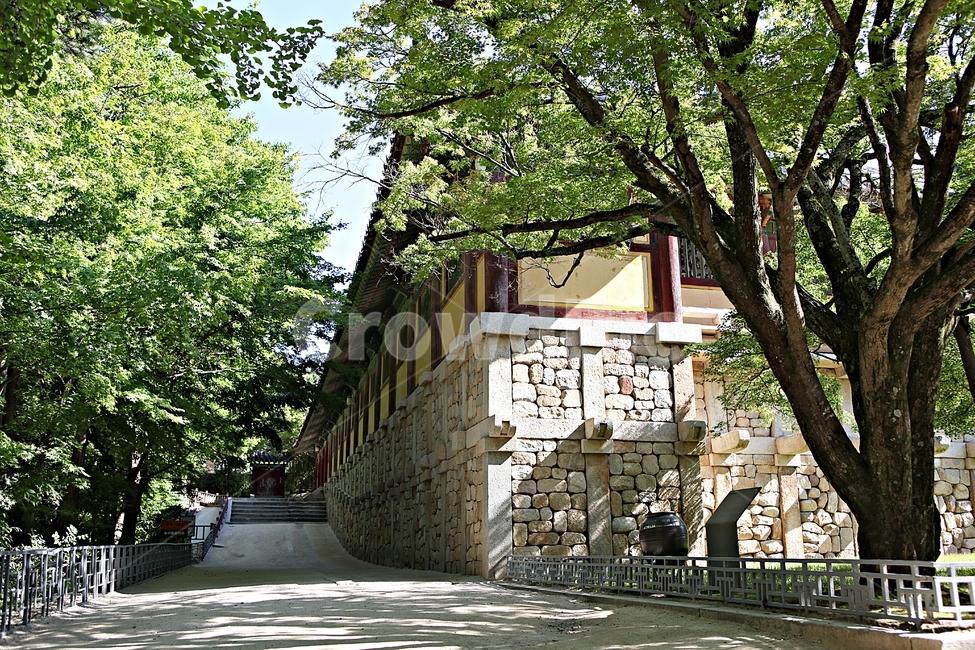 불국사,경주,절,사찰,국보,보물,전통,기와집,집,한옥