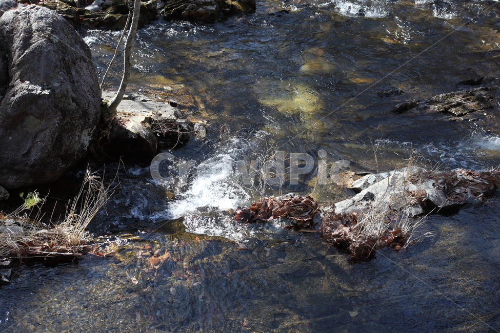 water,물,nature,자연,계곡물