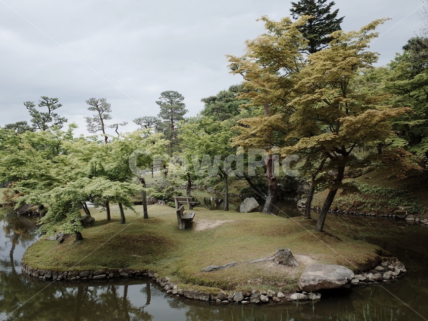 tree,나무,nature,자연,배경화면,감성,풍경,바탕