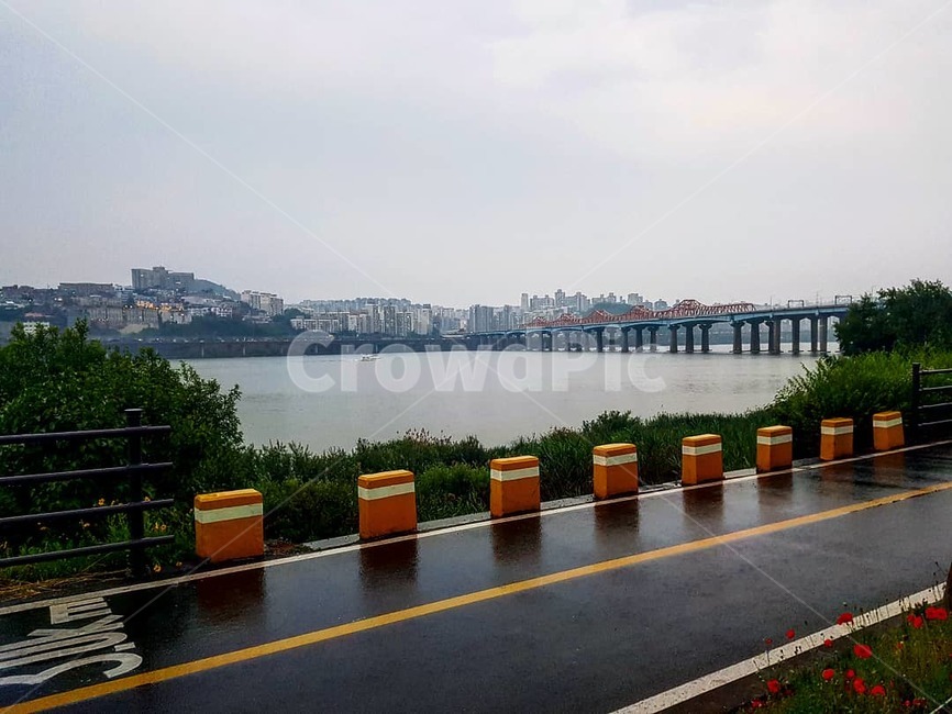 한강,동호대교,비,강,대교,다리,서울