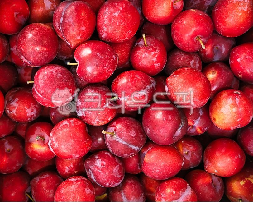 plum,Red,fruit,Direct delivery from the farm,New plum,seasonal fruits,food