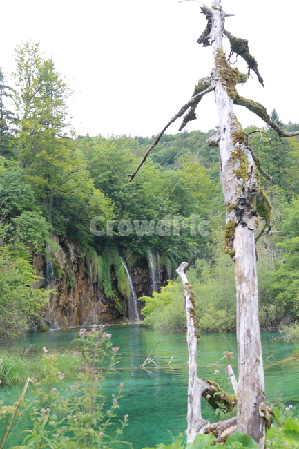 크로아티아,크로아시아,croatia,플리트비체,plitvice,plitvica,국립공원,물,폭포,연못,강,숲,나무,초록,여름,park,nature,waterfall,water,river,pond,green,tree,forest,자연,풍경,nature,landscape