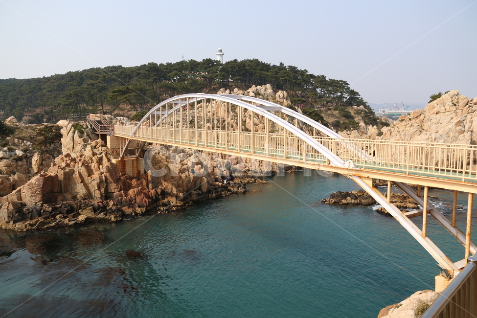 대왕암공원,일산지,자연,바다,해변