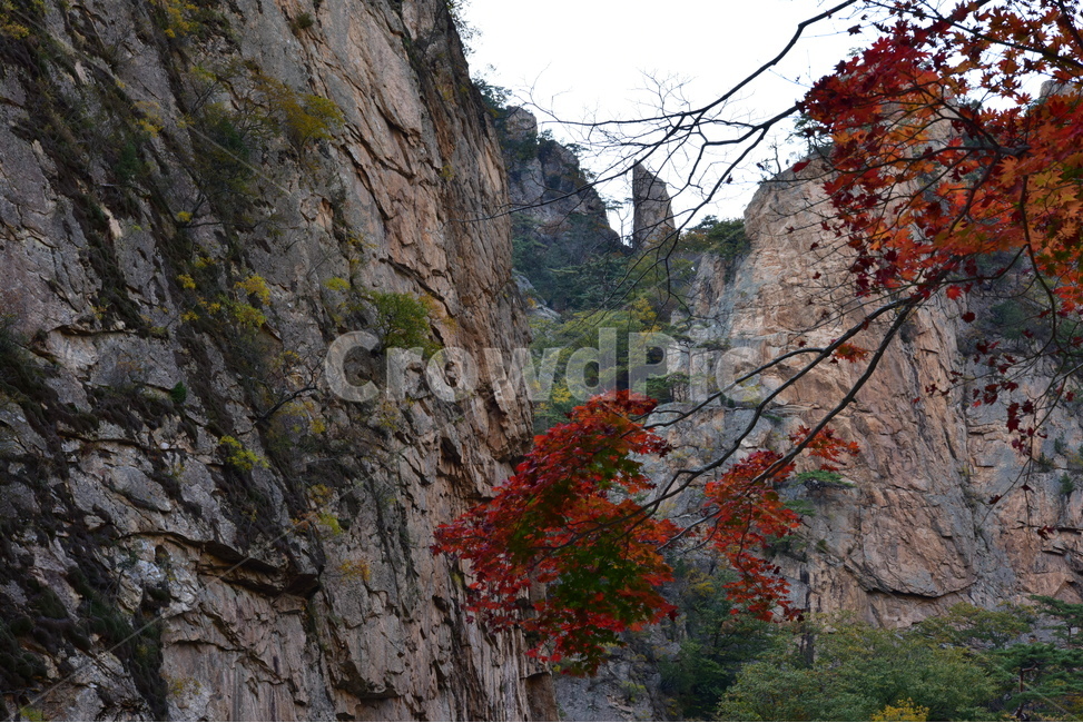 nature,자연,mountain,산,단풍,가을단풍,가을풍경,가을산,가을,계절,fall,autumn,season,자연,풍경,nature,landscape,outdoors,옥외,cliff,낭떠러지