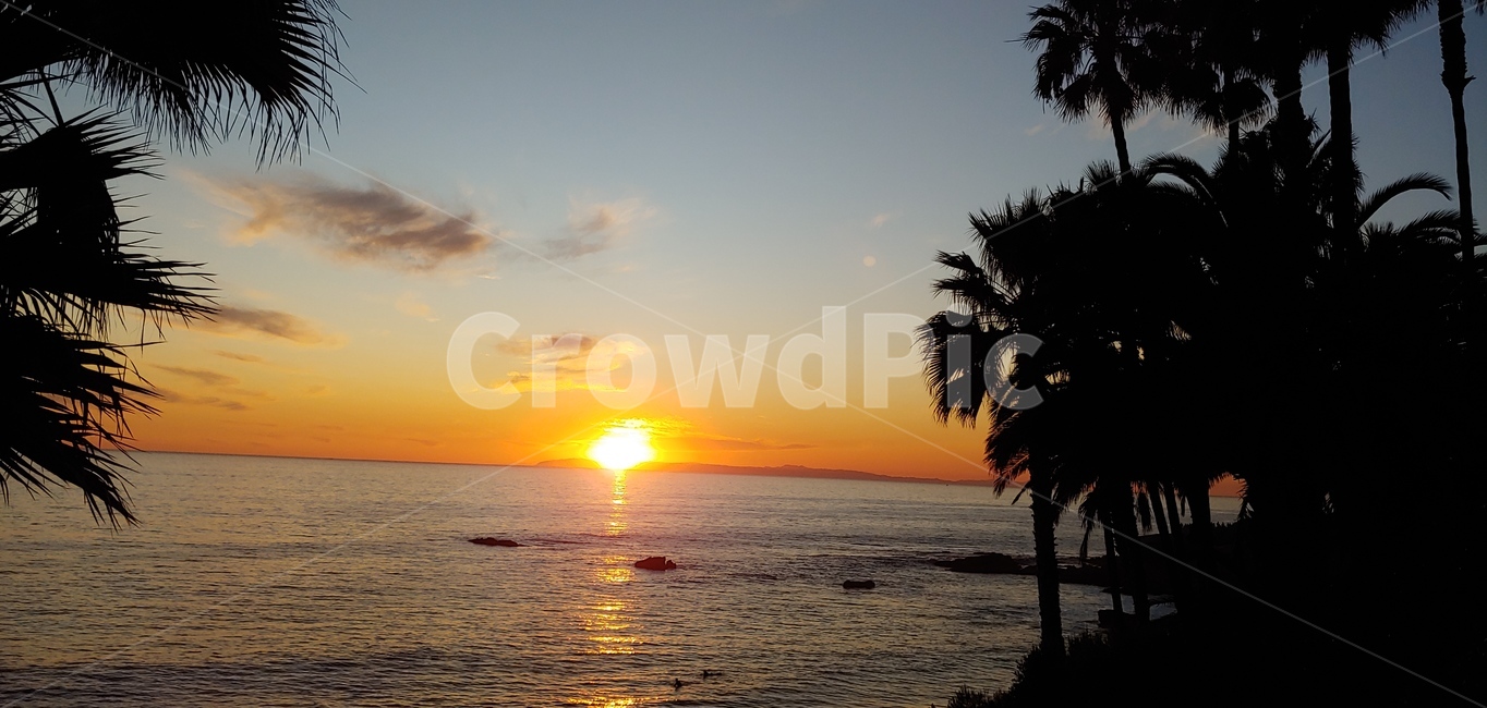 lagunabeach,california,바닷가,sunset,일몰,파도,야자수