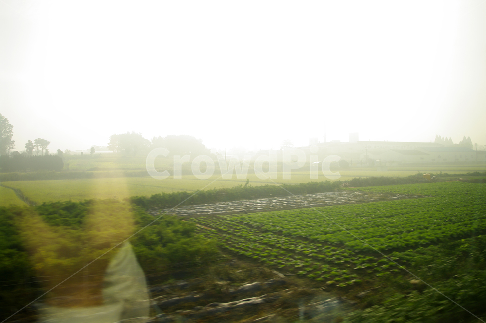 창,풍경,하늘,밭,논,산업,industry,industrial,농업,농사,agriculture,farming,farming industry