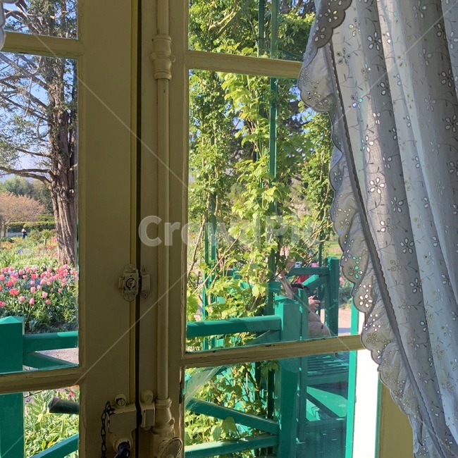 green,house,window,창문,풍경