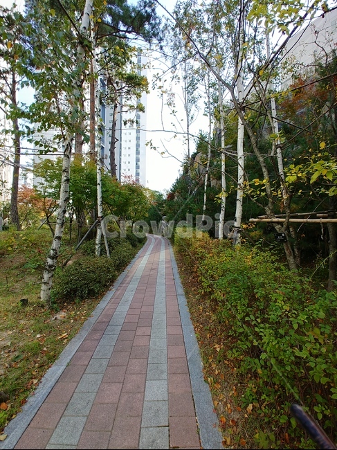 산책길,path,통로,보도,walkway,정원