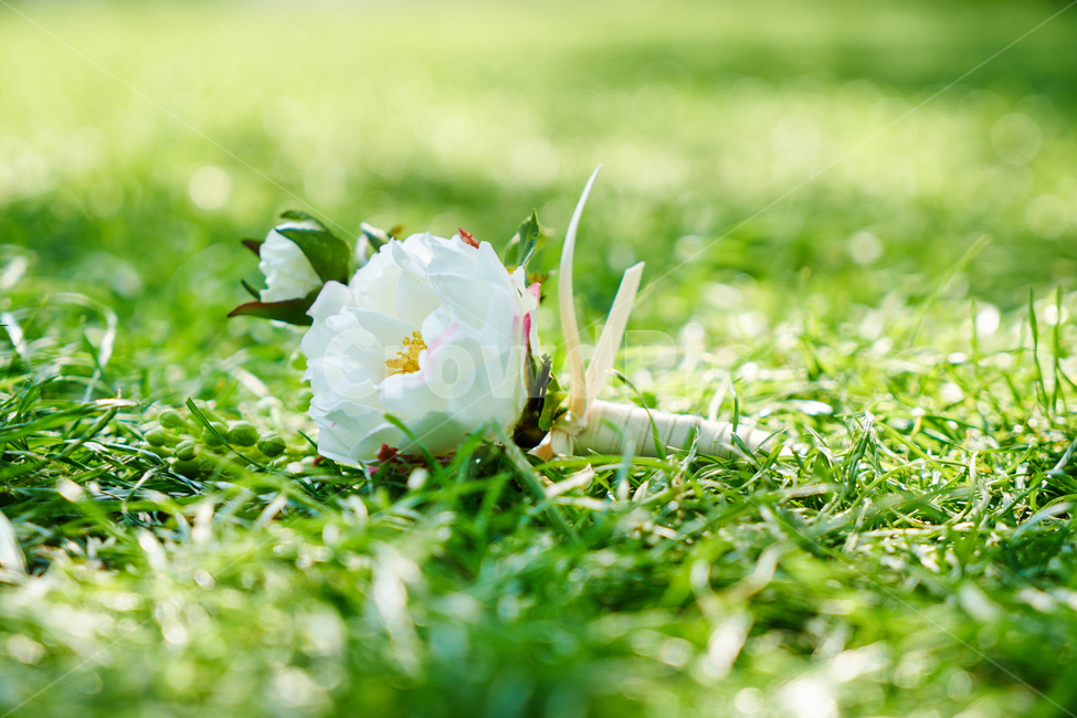 부케,꽃,정물,결혼,로맨틱,조화,식물,컬러풀,숲,공원,녹색,자연,꽃,flower,결혼,혼례,웨딩,wedding,marriage,marry,기념일,축하,anniversary,congratulation,celebrate,celebration,휴식,힐링,rest,relaxation,healing