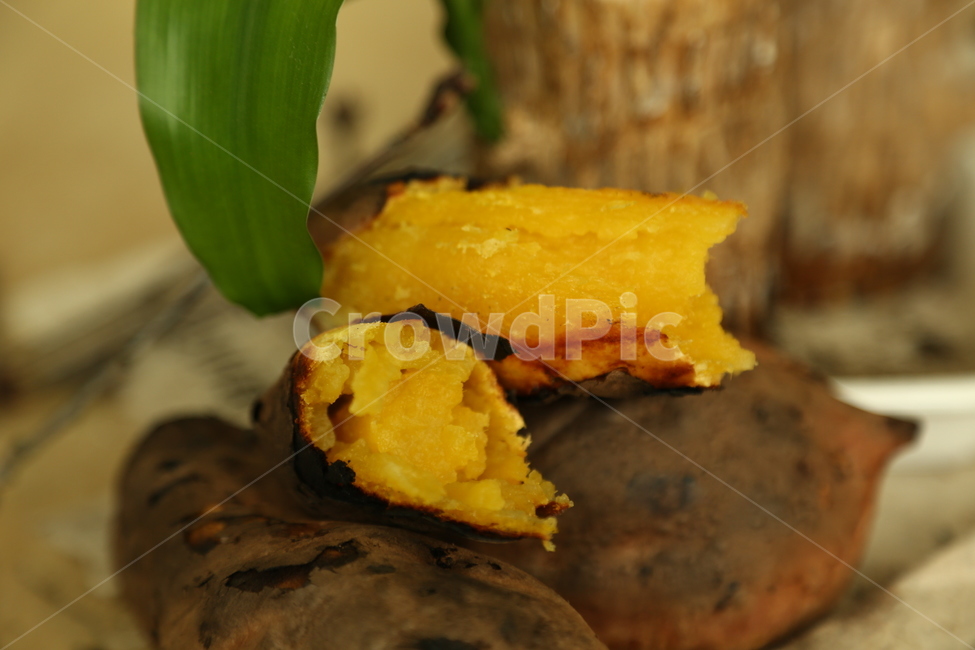 chestnut sweet potato,gourd,sweet potato,Goma County,Pumpkin Sweet Potato,snack,food,gourdcrop,sweetpotatoes,9yearold crop,sweet,snacks