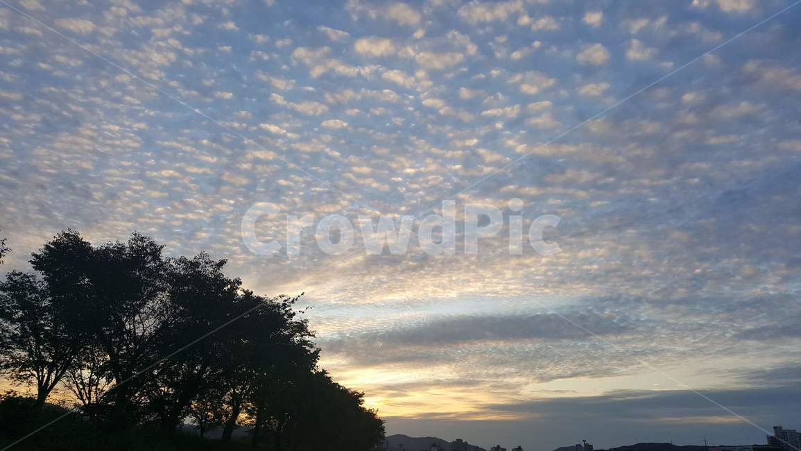 자연,하늘,sky,노을,sunset,clould,구름,shadow