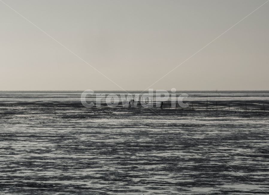 풍경,자연,바람,물,한국,korea,일몰,자연,풍경,nature,landscape
