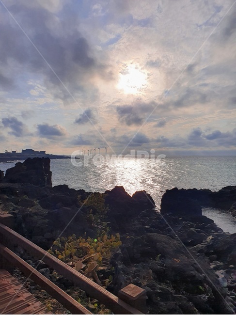 선인장,선인장군락지,푸른바다,제주도,제주도바다,파란하늘,자연,바다,sea,water,nature,ocean,물,outdoors,옥외,곶,갈대,바람,하늘,구름,풍경,바다풍경,햇빛,월령리