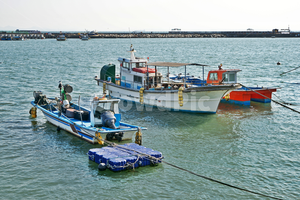 궁평항,화성,바다,방조제,방파제,어선,고깃배,부두,산업,industry,industrial,어업,fishery,fishing industry,교통,교통수단,traffic,transportation