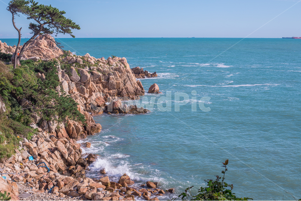 자연,nature,바다,sea,대왕암공원,ulsan,한국풍경,koreaview,landscape,자연,풍경,nature,landscape,promontory,곶,outdoors,옥외,cliff,낭떠러지