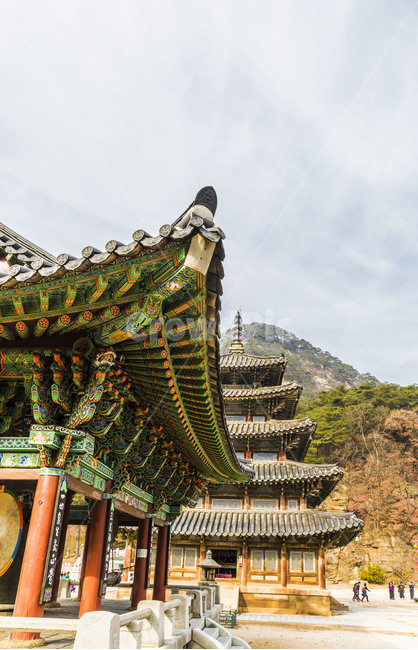 단청,법주사,문화유산,팔상전,목탑,국보,문화재,사찰,고찰,한국전통,한국문화,korean traditional,korean culture,종교,신앙,religion,belief,faith,건축물,건물외관,exterior,building,structure,architecture,construction
