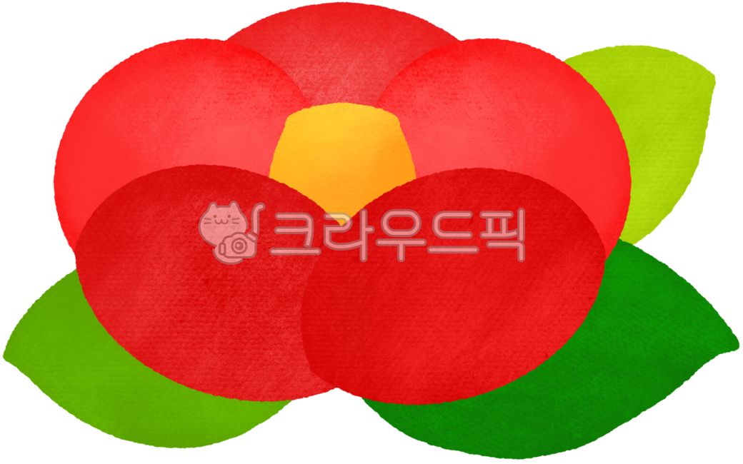 동백,동백꽃,카멜리아,동백나무,제주동백꽃,겨울동백꽃,동백꽃일러스트,꽃,빨간꽃,붉은동백,겨울,제주도,동백섬,겨울꽃,빨간꽃잎,빨강색,camellia,flower,nature