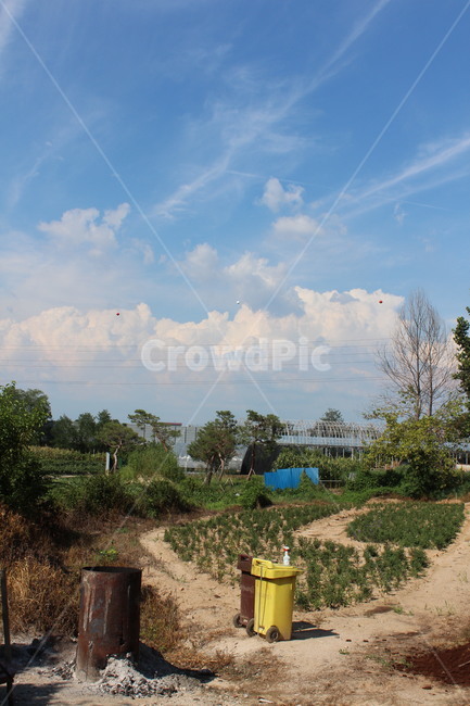 nature,자연,outdoors,옥외,농촌,shelter,countryside