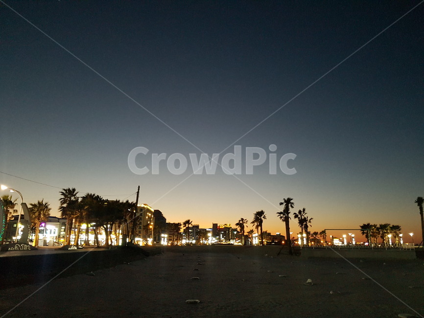 야경,야자수,여름밤,심야해변,해질녘,제주,한여름밤,밤마실,계절,해변,nightview,summer,beach