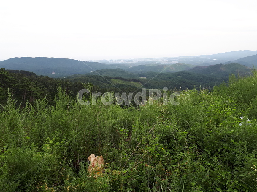 하늘,산,날씨,풀,꼭데기,자연,등산,자연,풍경,nature,landscape,outdoors,옥외,hill,언덕