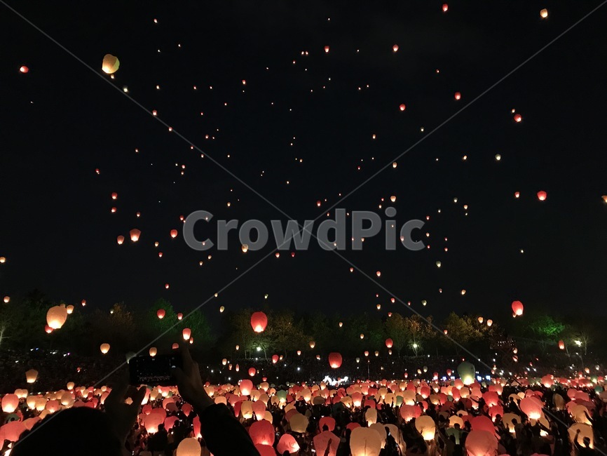풍등축제,풍등,두류공원,대구풍등축제,야경,야경,밤,풍경,nightscape,night,landscape