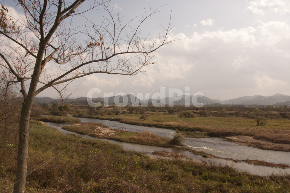 영산강,하늘,구름,풍경,맑은날,풍경사진,한국풍경,강가,강,자연,풍경,nature,landscape,식물,plants,나무,trees,wood,outdoors,옥외,land,땅,water,물