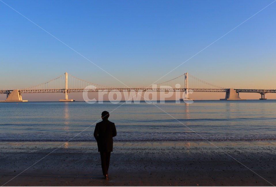 부산,광안대교,광안리,뒷모습,다리,바다,busan,bridge,광안리해수욕장,광안,사람,인물,인간,human,person,남성,남자,man,male