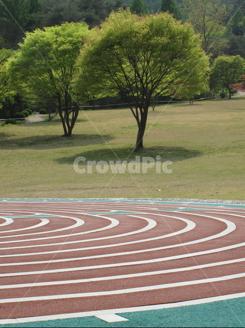 육상트랙,스포츠,나무,sport,runningtrack,나무,trees,wood