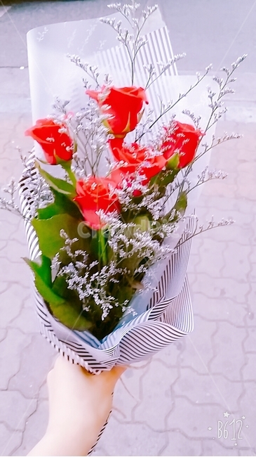 꽃다발,장미꽃,장미,5송이,안개꽃,꽃,flower