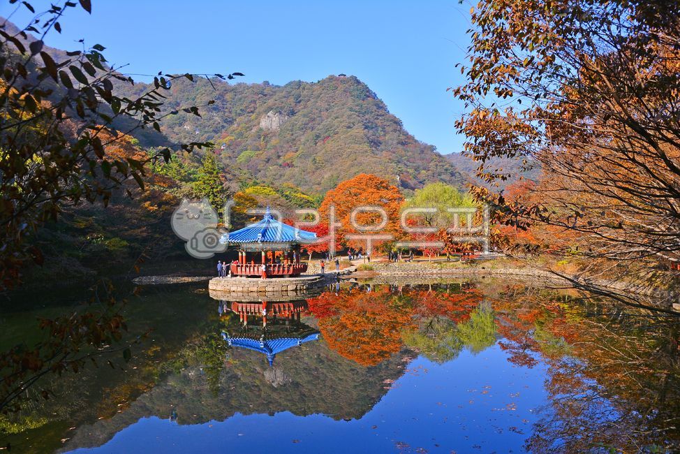 내장산단풍,내장산우화정단풍,가을단풍,계절,호수단풍,내장산호수,가을배경,시즌,메이플,단풍나무,가을정자,옥외,nature,outdoors,자연,단풍숲,maple,autumn,가을산,내장산국립공원,연못,water,물,pond