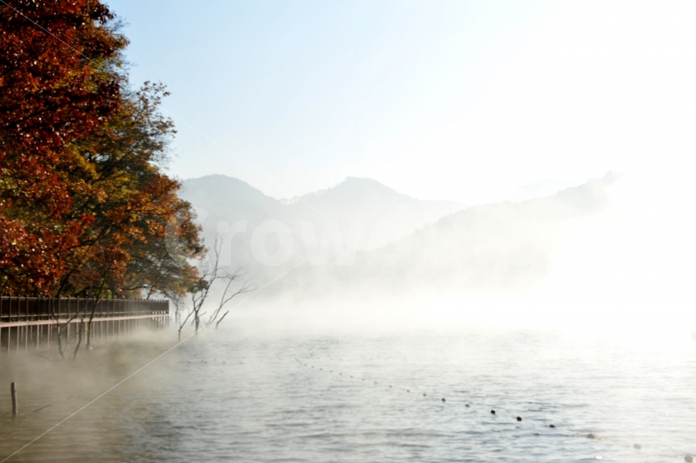 문광저수지,물안개,낚시터,여행,몽환,괴산,충북,가을,계절,fall,autumn,season,자연,풍경,nature,landscape,한국자연풍경,한국자연경관,korea nature landscape,weather,날씨,outdoors,옥외