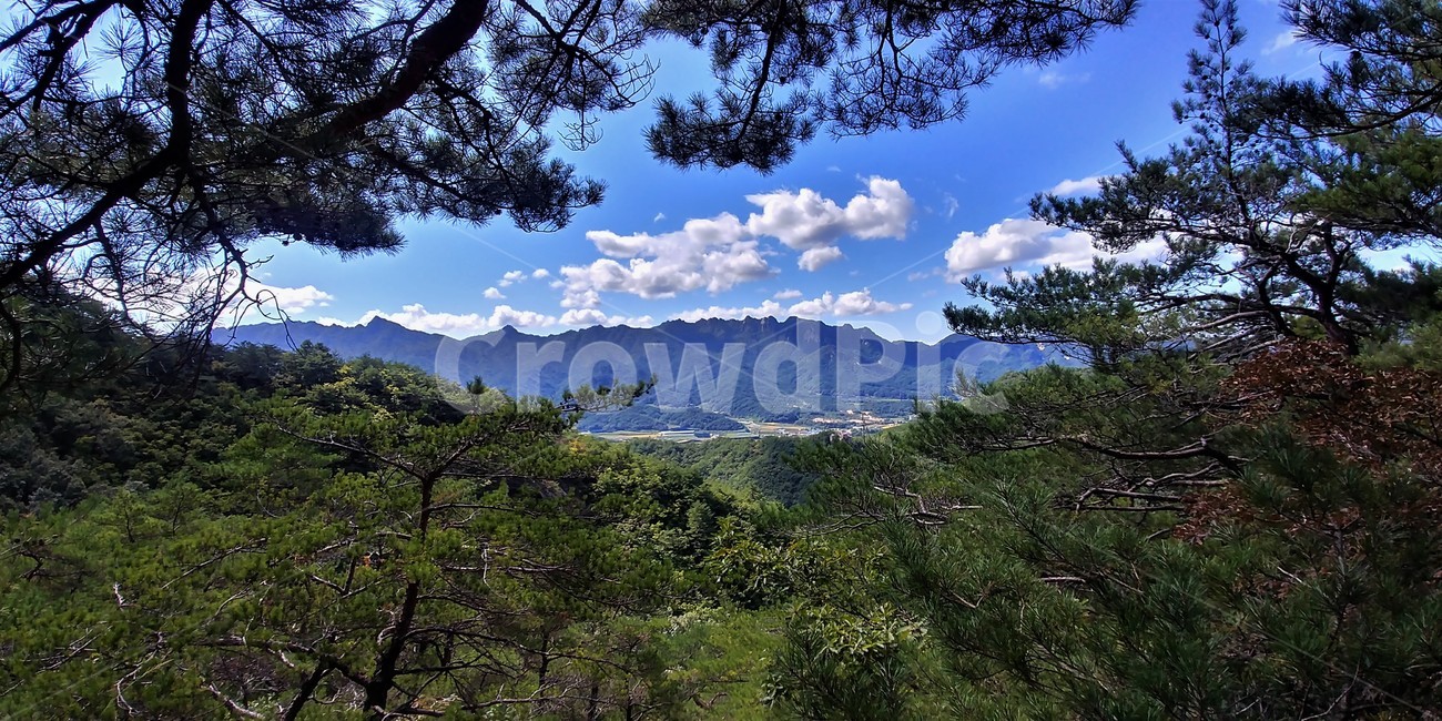 속리산,묘봉능선,묘봉,상학봉,속리산국립공원,구름,구름풍경,자연,풍경,nature,landscape,한국자연풍경,한국자연경관,korea nature landscape,outdoors,옥외,plant,식물,tree,나무