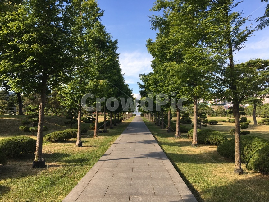 나무,오솔길,산책길,공원,길,자연,대각선구도,식물,초록,맑음,산책,풍경,여름,조용한,조경,산책로,정원,tree,road,green,일직선,직선,구도,자연,풍경,nature,landscape,path,통로,plant
