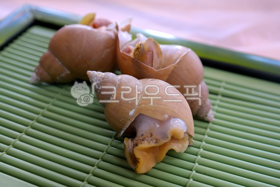 골뱅이,백골뱅이,음식,요리,식재료,수산물,해물,해산물,골뱅이찜,찜요리,통골뱅이,어패류,삶은,seasnail,food,ingredient,seafood,steamed,fish,shellfish,boiled