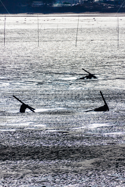 바다,대양,바닷가,파도,서해,자연,풍경,nature,landscape