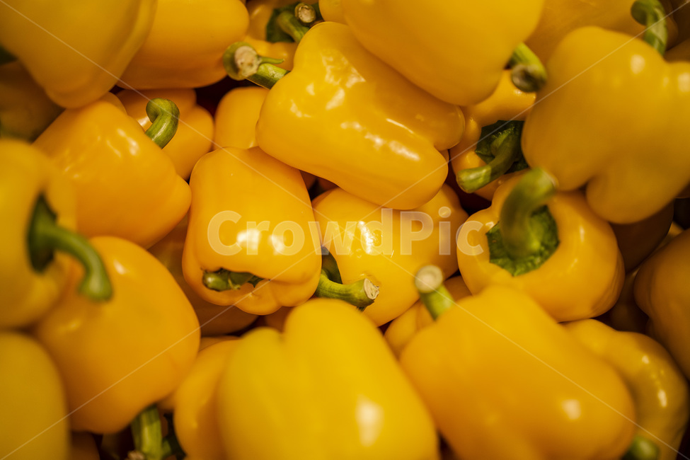 background,capsicum,closeup,color,cooking,diet,food,fresh,healthy,ingredient,market,nutrition,organic,paprika,pepper,vegetable,vegetarian,yellow,파프리카,피망,채소,건강,채식,노랑