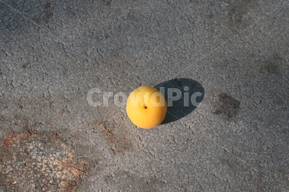 살구,그림자,동그란,apricot,shadow,연주황,노랑,lightorange,yellow