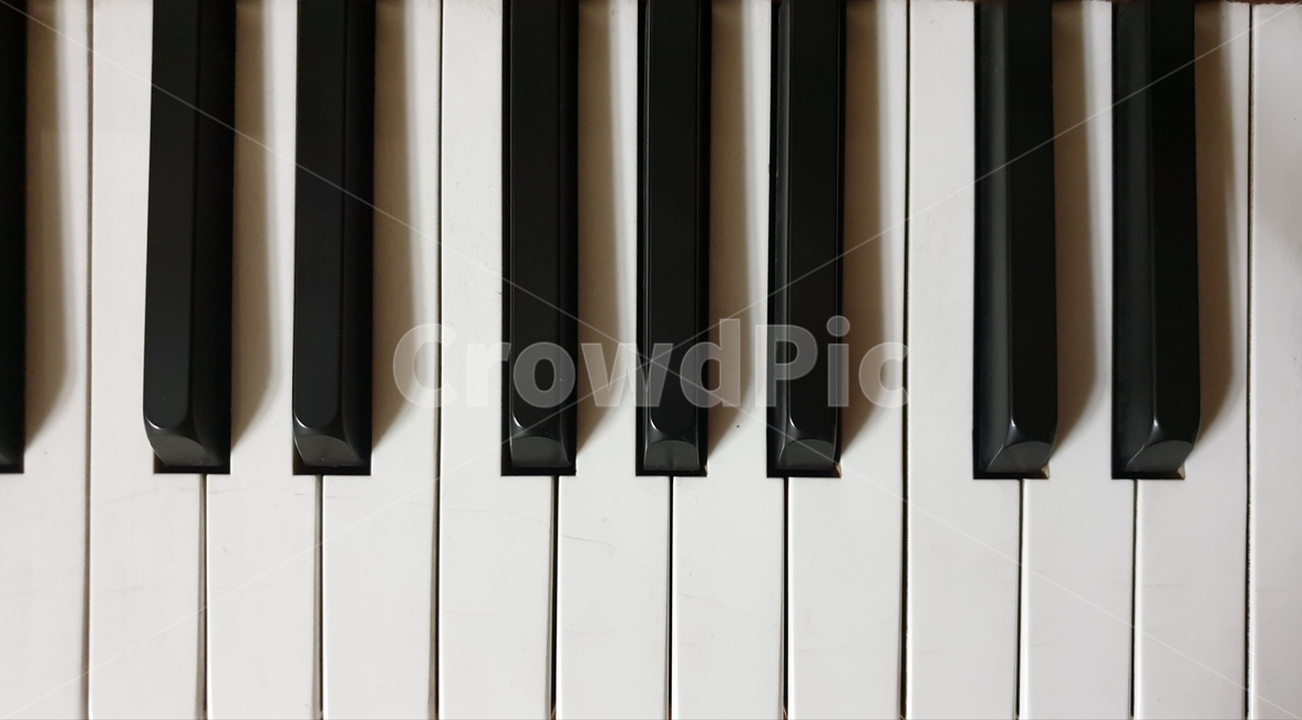 피아노,piano,grandpiano,그랜드피아노,musicalinstrument,악기,악기,음향기기,musical instrument,musical equipment