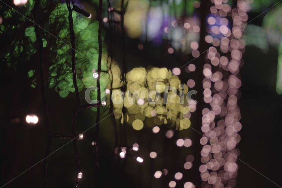 lighting,조명,light,빛,플레어