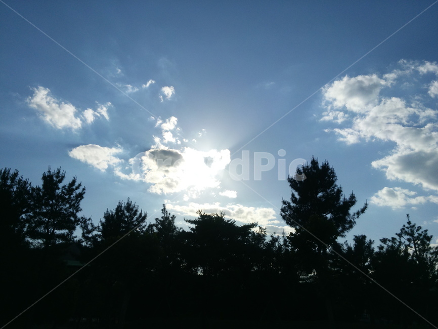 하늘,구름,자연,맑음,햇빛,sky,sun,sunshine,야외