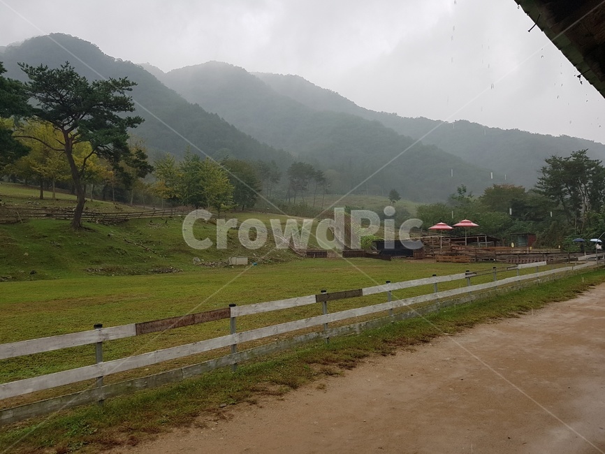 outdoors,옥외,nature,자연,가을,아침,이슬,자연,풍경,nature,landscape