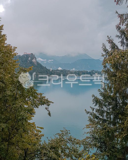 nature,tree,Slovenian,water,outdoors,Bled,river,lake