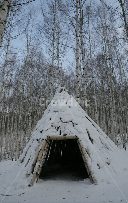 자작나무,이글루,피신처,나무집,겨울,나무,설경,눈,snow,winter,오두막,자연,nature,outdoors,countryside,피난처